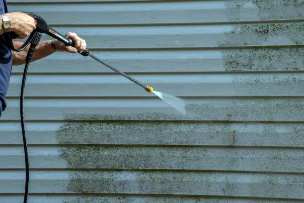 Best Residential Pressure Washing Services  in Essex, MD