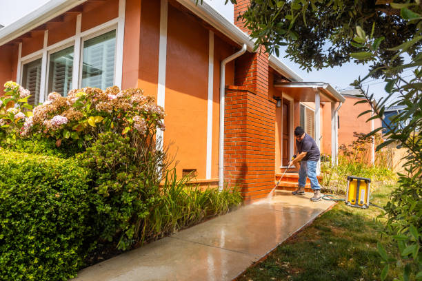 Best Affordable Pressure Washing  in Essex, MD