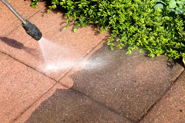 Best House Pressure Washing  in Essex, MD